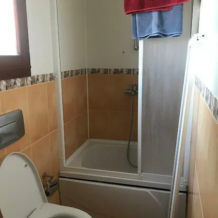 Karya *